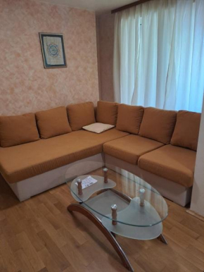 HostEx Vintage Apartment